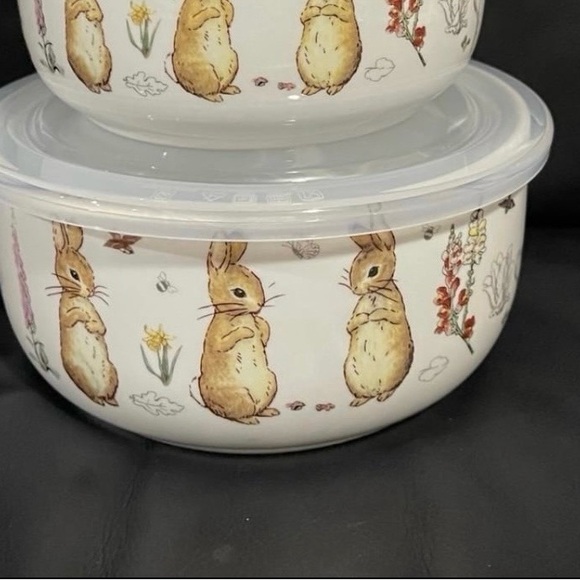 Beatrix Potter Peter Rabbit Storage Bowl, large - Picture 2 of 12